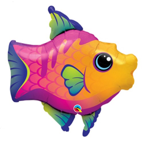globo pez de colores