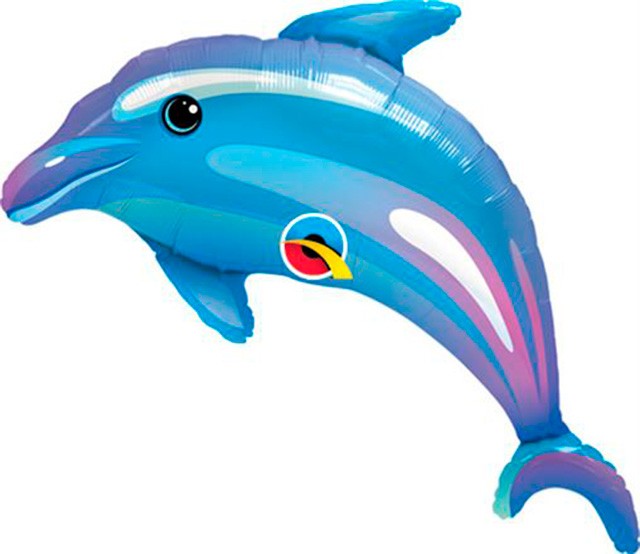 Dulce Delfin Azul