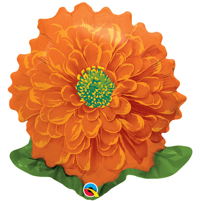 Flor Zinnia Naranja Fashion